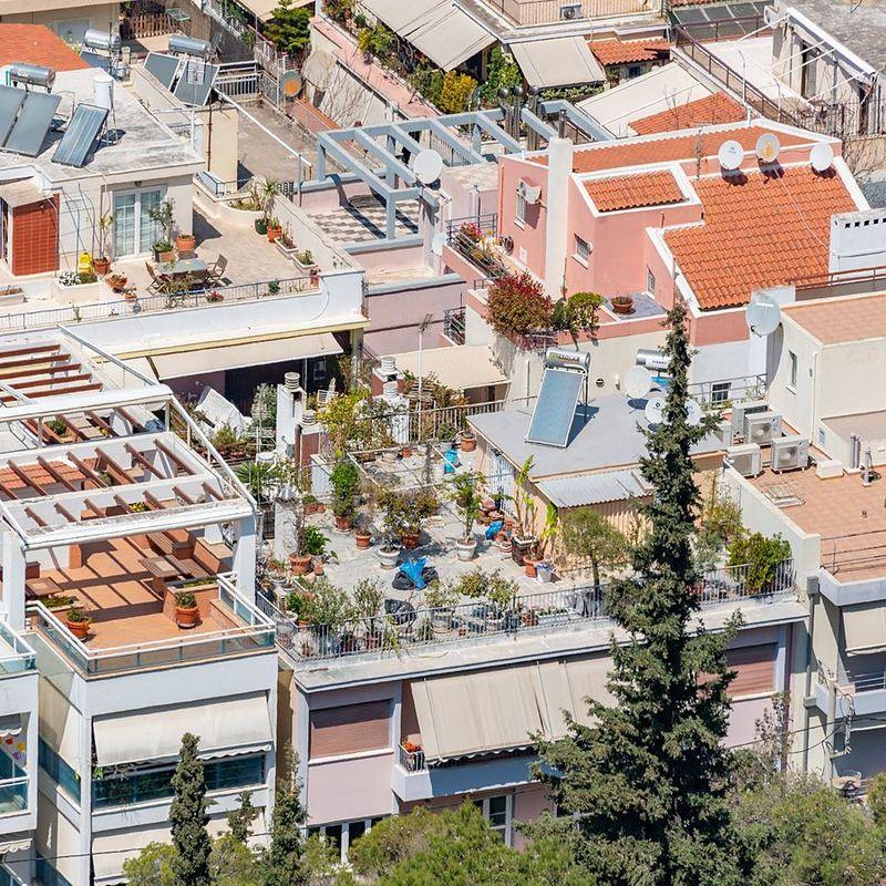 Terrasse paysagée